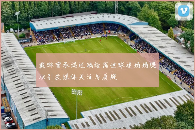 戴琳曾承诺还钱给离世球迷妈妈现状引发媒体关注与质疑