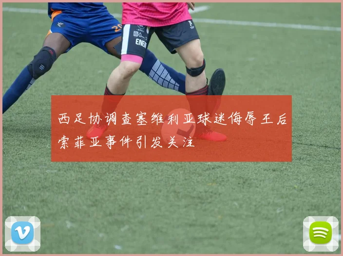 西足协调查塞维利亚球迷侮辱王后索菲亚事件引发关注